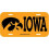 Iowa Hawkeyes nummerplade 2