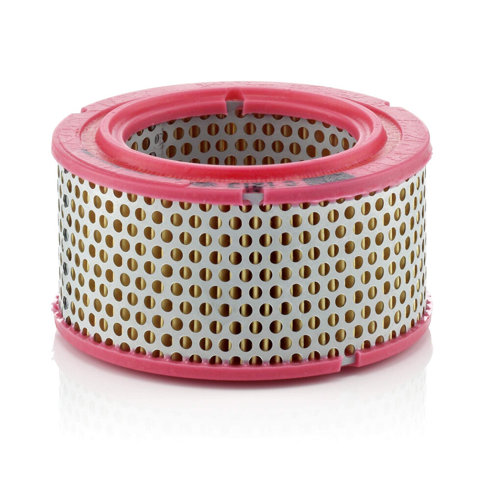 Mann Filter C 1213 Air Filter