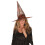 Black/orange Spider Witch hat 1