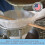 MAPLE TAPP 5