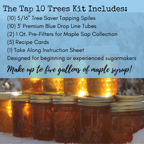 MAPLE TAPP 1