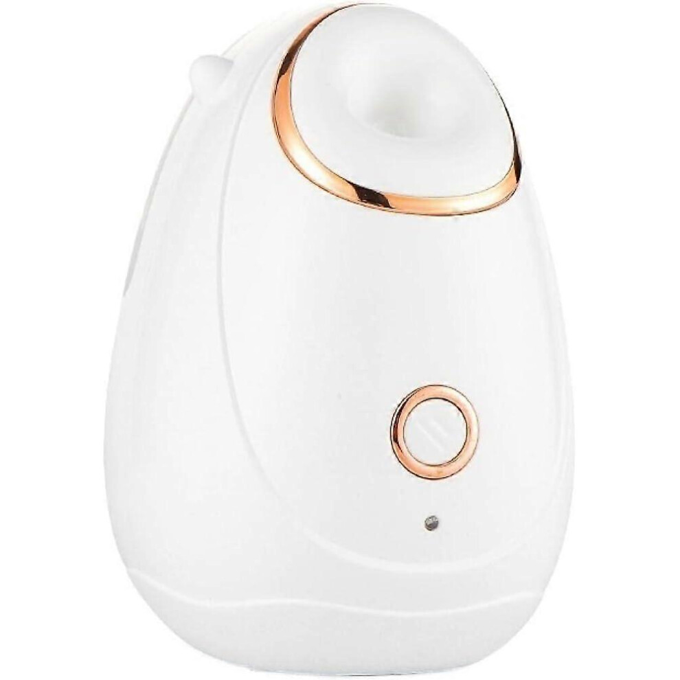(As show, One size) LINJOU Facial Humidifier Face Steamer,Nano Hot Mist Steam Sprayer Skin Moisturizing