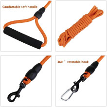 (As show, One size) Dog Leash, 5m Long Dog Training Leash, Ideal for Hiking, Camping, Training, Beach, Suitable for Small and Medium Dogs.(10mm, 5M)