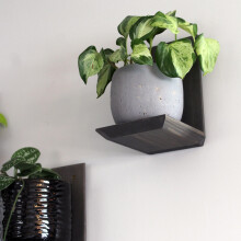 Daniel's Plants Midcentury Modern Gallery Wall Plant Shelf 3 Pack (Bevelled Edge)