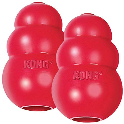 KONG 2-Pack Lar