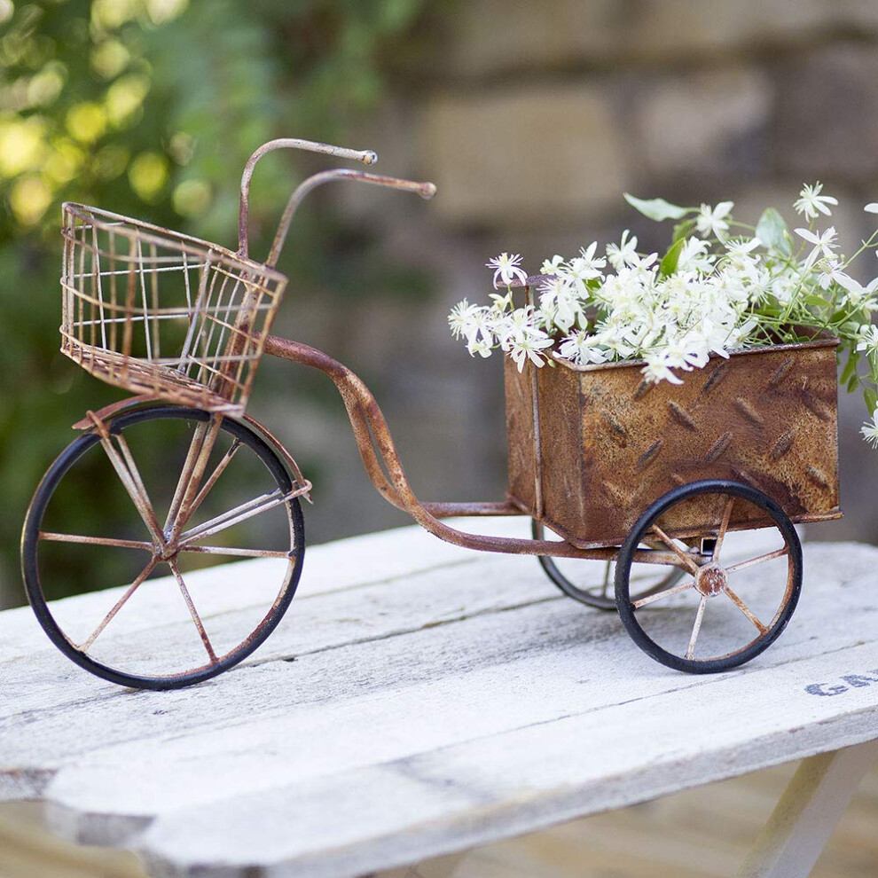 Tricycle de livraison Planteur