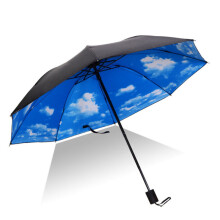 (White Clouds) Antiuv Rain Sun Protection Windproof Flower Parasols Folding Umbrella 3
