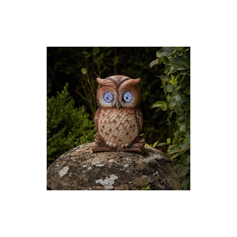 Solar Power Owl LED Garden Ornament Blinkin' Lights Outdoor 1020042MO