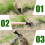 Weeder Stand-up Weed Puller Tool Hand Weeder Tool Root Remover Outdoor 5