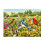 Ravensburger 2D-puslespil: Fugle 500 brikker 2