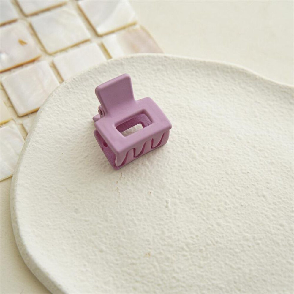 (light purple) Small Square Hair Claws Frosted Hair Clip Geometry Simple Hairpins Ponytail Clip Crabs Hair Accessories for Women