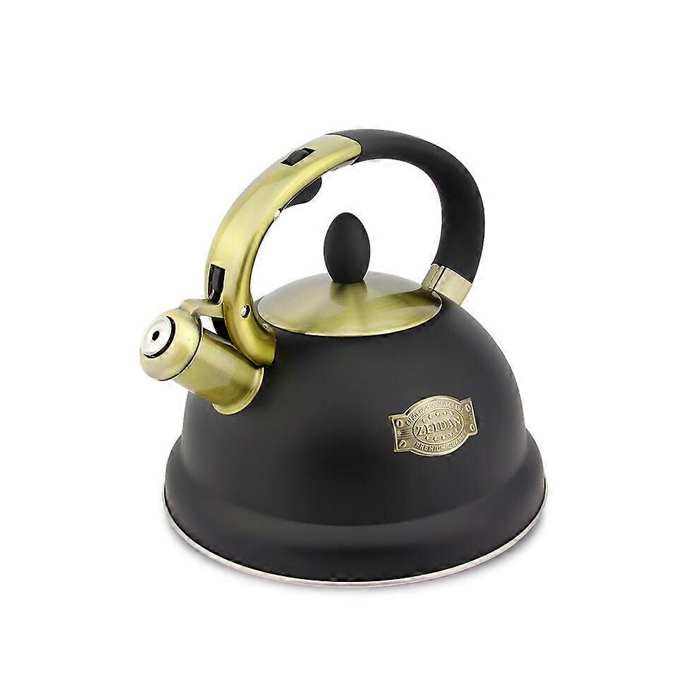 (Black, One size) 3L Whistling Kettle, Stainless Steel Whistling Tea Kettle, Evenly Heating Whistling Kettles With Hot-resistant Handle For Both Gas A-image-OPC-PG5FQJB-NEW