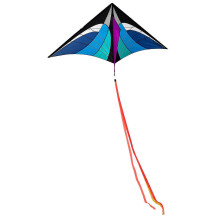 (Blue, One size) Kites For Kids Kites For The Beach Huge Kite For Kids Colorful Kite Beach Kite With Long Tail Kites For Kids Adults