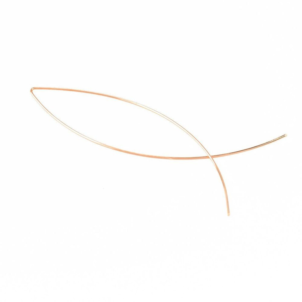 (gold) Individual And Simple Bronze Fish Earrings