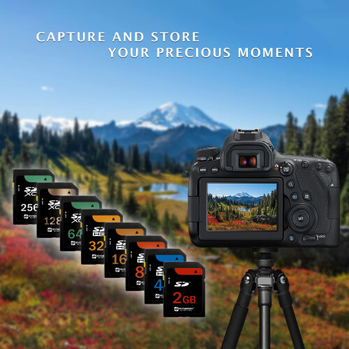 Canon Powershot SD630 Digital Camera Memory Card 2GB Standard Secure Digital (SD) Memory Card 1