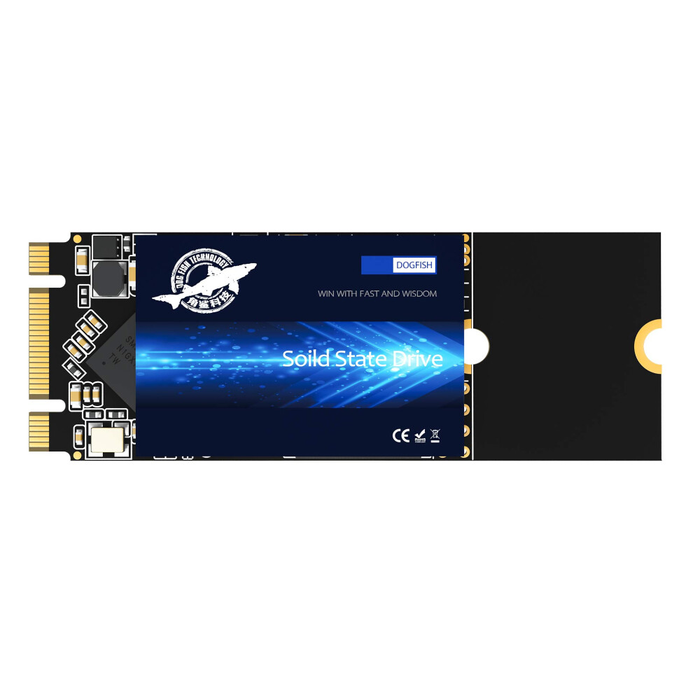 Disque SSD M.2 2260 1 To Dogfish Ngff Disque dur interne haute performance pour ordinateur de bureau SATA III 6 Gb/s Comprend SSD (1 To M.2