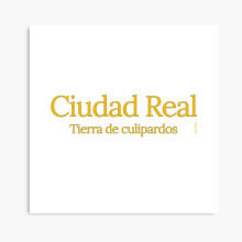 (Real city. Land of culipards=3714) Canvas Print DIY Framed Kit Wall Art Room Decor 16x20 inch or 18x18"