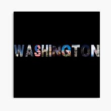 (Washington D.C. City Collage=7813) Canvas Print DIY Framed Kit Wall Art Room Decor 16x20 inch or 18x18"