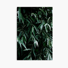 (Photo of a plant in nature=9704) Canvas Print DIY Framed Kit Wall Art Room Decor 16x20 inch or 18x18"