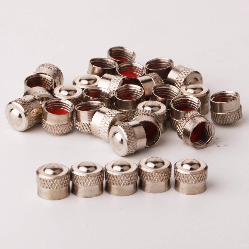 16Pcs Aluminum Valve Caps (Silver)Car Dust Caps Tire Wheel Stem Valve Dust Caps Silver 9469042618160
