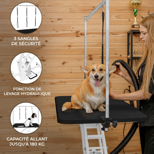 Hydraulic Pet Dog Grooming Table Height Adjustable Bar Black Top 1
