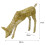 LED beleuchtetes goldenes Reh 4