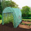 Polytunnel 19mm 4m x 2m 2