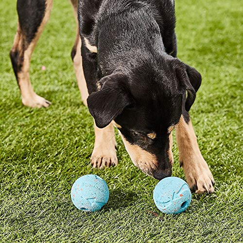 Chuckit! Chuckit Med Rebounce Ball 2-Pack 1