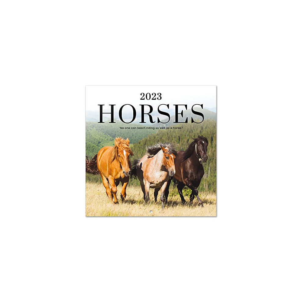 Grupo Erik Horses Wall Calendar 2023 12' X 12' Fsc| Month Planner | Square Wall Calendar 2023 | Family Planner Calendar 2023 | Horse Calendar 2023 Size 12