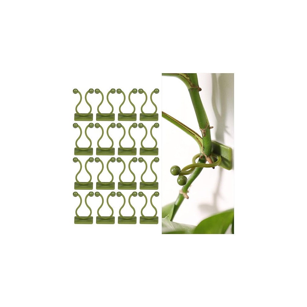 Lifeasy 100Pcs Climbing Plant Support Clip, Self Adhesive Plant Clips, Vine Wall Mount Clip, Wall Fixer, Plant Support Hook Clip, Stake Clip, Plant Wall Green
