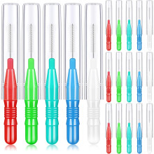 100 cepillos interdentales, cepillo de dientes port?til con funda, cabezal de cepillo de dientes, herramienta de limpieza de dientes para limpiar entr