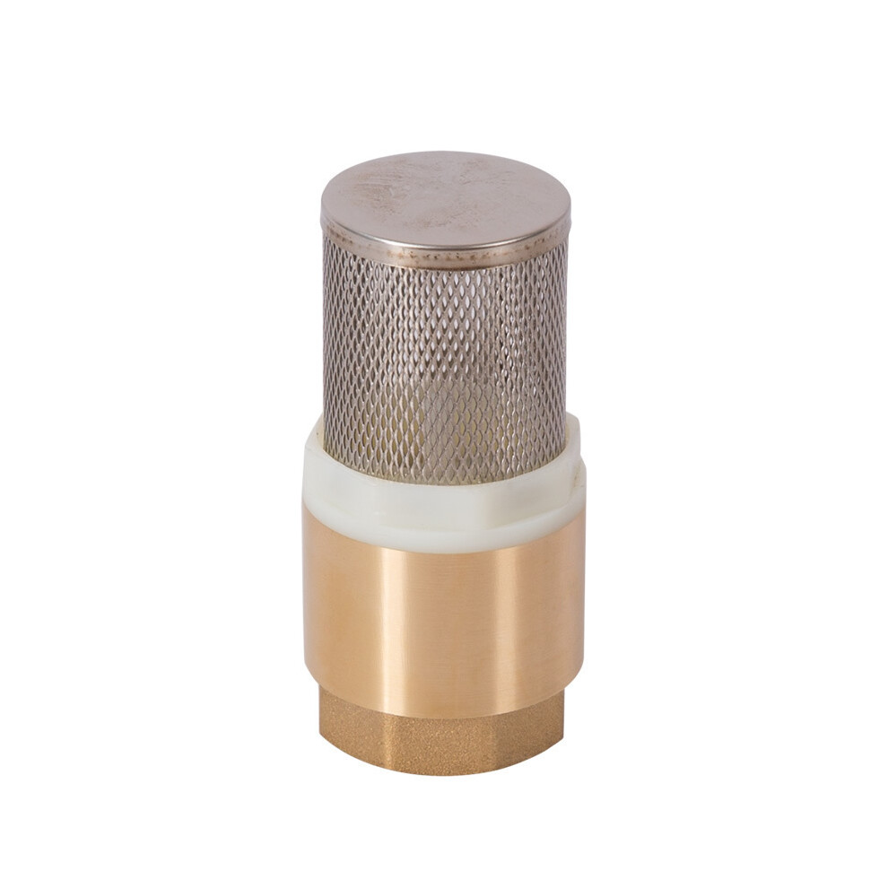 Kit de filtre d'aspiration, 3/4", laiton, clapet de pied avec clapet anti-retour