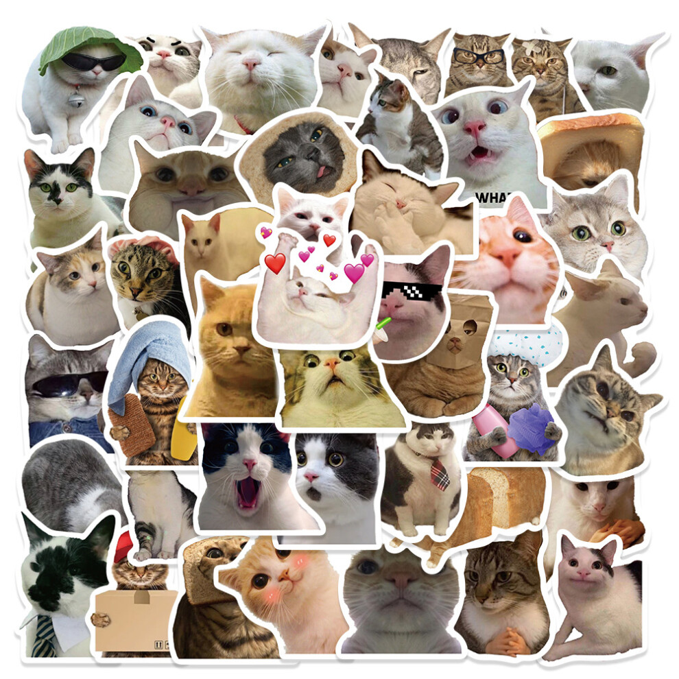 50 Pcs Cat Expression Stickers, Vinyl Stickers Graffiti Decals For Laptop Car Skateboard Motorcycle Bike Luggage Bumper Cat Expression Sticker 9113374512817