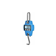 Scala a gru - Mini scala portatile digitale LCD scala sospesa scala da gioco scala a gru con scala da 300 kg con gancio per viaggio valigia pesca cacc