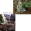 Ganesh Buddha Aquarium Dekoration 5