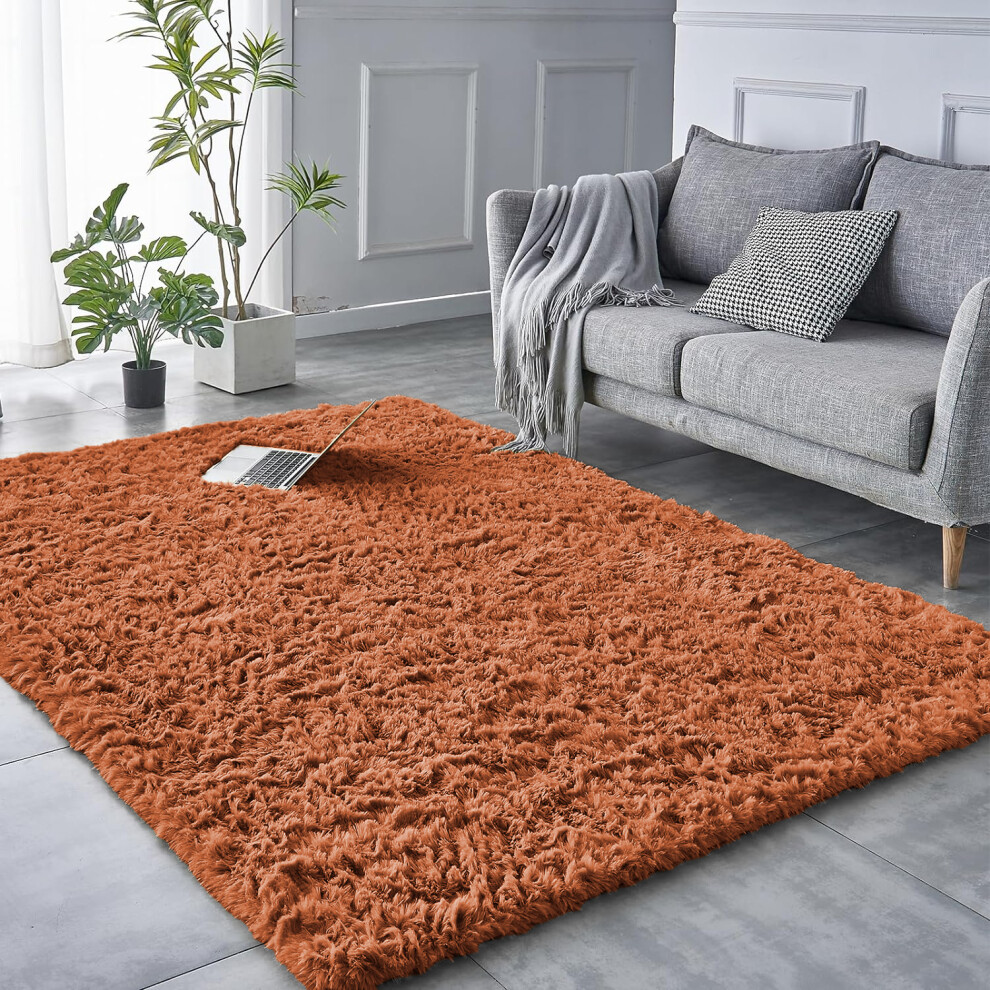 (Rust , 120X170) Shaggy Non Slip Rugs Living Room Area Carpet Mat