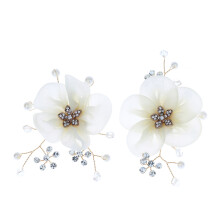 1 paar kristal strass kralen schoen clips bruiloft schoen gespen bloem decoratieve bedels DIY bloemen decoraties voor bruiloft feest schoenen schoen a