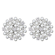 Paar met kristal beklede schoenclips met strass-steentjes, gespen voor bruidsschoenen, decoratieve bloemen, doe-het-zelf-schoenbedels, decoraties voor