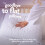 Slumberdown (4 Pack) Slumberdown Rebound Firm Support Pillow 4