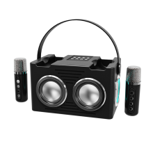 Enceinte Karaoké Bluetooth Portable avec Basses Haute Puissance, Effets Sonores HiFi, Microphone Sans pour Fêtes à Domicile