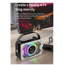 Bluetooth-Luidspreker voor Thuis Buiten Zingen, Draagbare Bas Draadloze Karaoke-Luidspreker Microfoon Home Ktv Set-Grijs