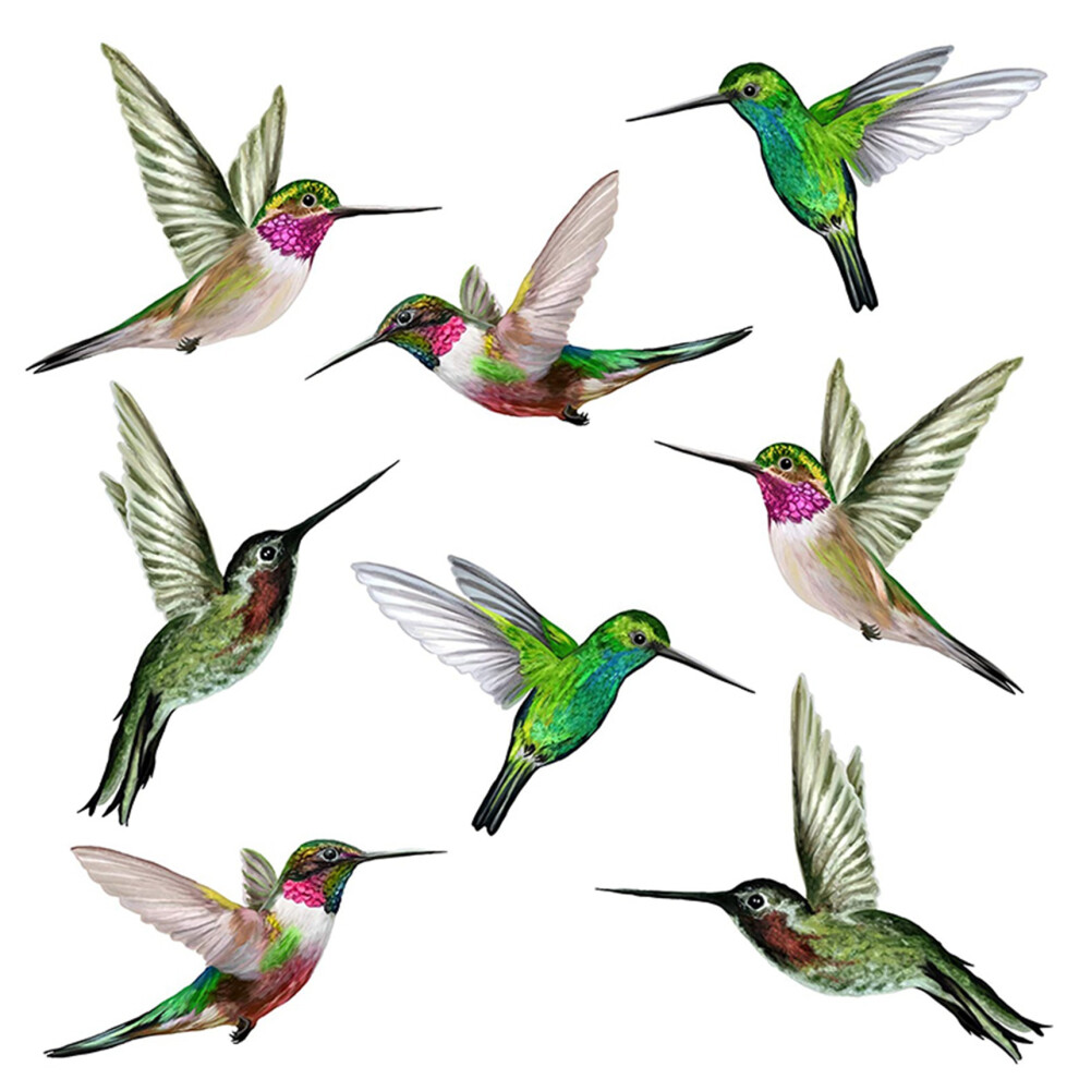 Melitt 8 Large Beautiful Humming Bird Static Cling Window Stickers Hummingbird Anti Collision Strike