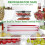 Food Plastic Fresh-Keeping Tray Stackable Reusable 8