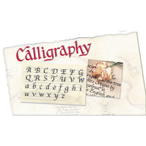 Staedtler STAEDTLER double ended calligraphy markers  calligraph duo  for narrow 2