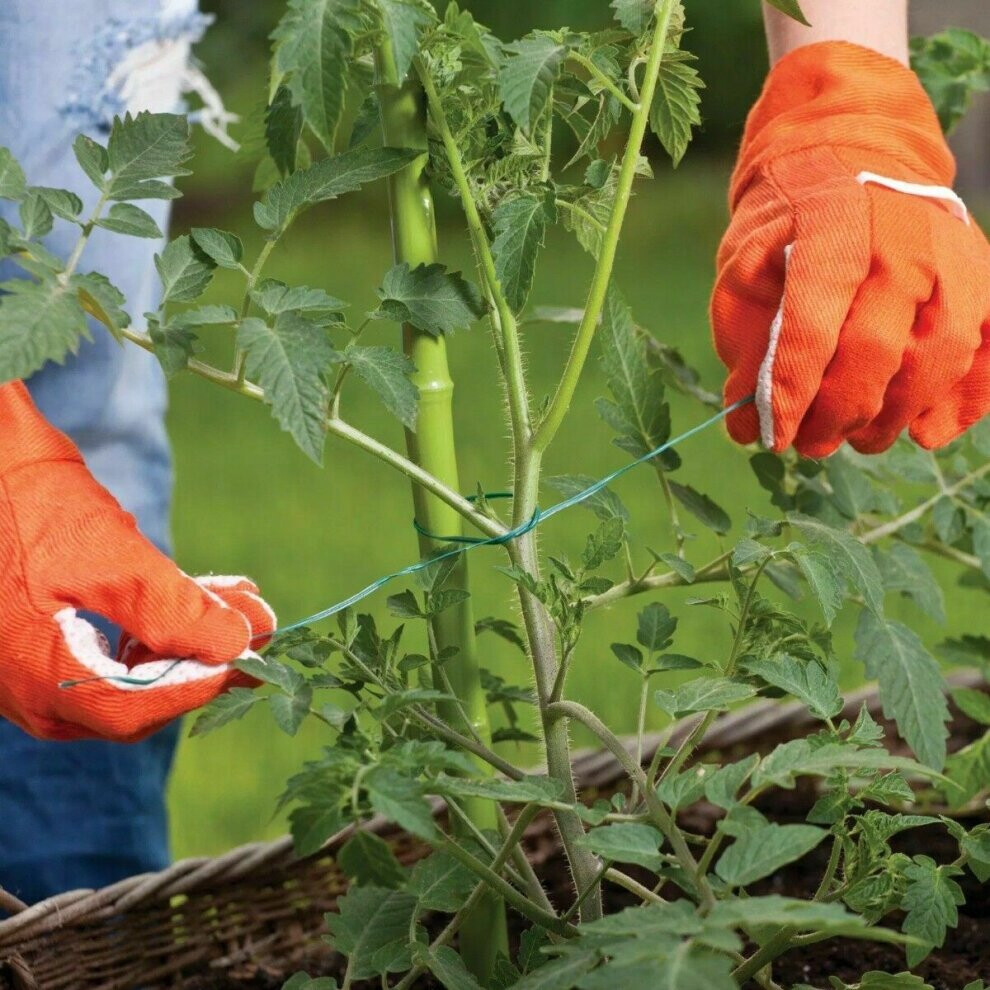 200m Garden Twine Polypropylene Weatherproof Garden String Plant Support Rope