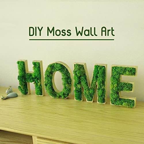 Prefleur Διατηρημένο Μοσχοκάρυδο Craft Moss Φυσικό Πράσινο DIY Kit Κηπουρική Τέχνη 0.85lb 1