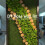 Prefleur Διατηρημένο Μοσχοκάρυδο Craft Moss Φυσικό Πράσινο DIY Kit Κηπουρική Τέχνη 0.85lb 3
