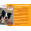 (Peanut Butter, Full Box (Medium 24 Pack)) Chewllagen BAR 3