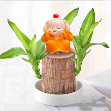 Brazilian Wooden Potted Home Decoration Peaceful Little Monk Ornament Emotional Little Monk Ornament Flye255504