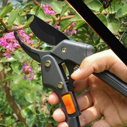 Gear Shears Branch Shears Gardening Shears Pruning Shears Fruit Tree Flower Shears Scissors Fruit Picking Shears Flye256448